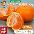  мандарин . сырой ..[ сердце ] красный превосходящий товар S размер 4kg JA.... прямая поставка от производителя три штук день mi can [ другой товар . одновременно покупка не возможно товар ][ отправка :2025 год 12 месяц сверху .~ средний .]