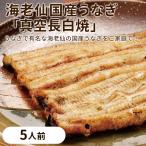 海老仙の国産うなぎ 真空長白焼