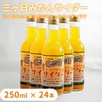 ショッピング炭酸 三ヶ日みかんサイダー250ml×24本