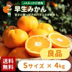  мандарин . сырой мандарин хорошая вещь S размер 4kg JA.... прямая поставка от производителя три штук день mi can [ другой товар . одновременно покупка не возможно товар ][ отправка :2025 год 11 месяц средний .~12 месяц сверху .]