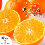 みかん 紅プリンセス 同品種 愛媛果試48号 秀品 2g 甘い 愛媛 新品種 ミカン 蜜柑 高級 希少 まどんな 甘平 数量限定 珍しい 愛媛限定 ポイント利用