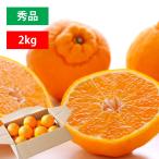  подарок декоративный элемент pon мандарин не . огонь превосходящий товар 2kg. фрукты фрукты Ehime производство Ehime производство декоративный элемент pon. такой же товар вид подарок .. отметка использование . покупка 