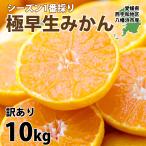 みかん 10kg 甘い ご家庭用 訳あり 極早生 2S〜3Lサイズ 50〜120玉入り 愛媛 西宇和地区八幡浜市産 3営業日以内に出荷
