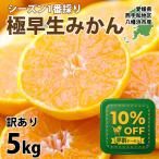  мандарин Ehime 5kg высшее . сырой есть перевод . для бытового использования запад . мир Hachiman .mi can меласса . бесплатная доставка прямая поставка от производителя S~L размер 25~60 шар передний и задний (до и после) ввод . кислота ... кислота тест . покупка 