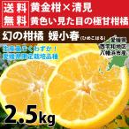 ショッピング甘平 みかん 愛媛 媛小春 2.5kg 幻のかんきつ 数量限定 希少 傷あり ひめこはる フルーツ 果物 柑橘 ミカン 八幡浜 めずらしい品種 愛媛限定 ポイント利用 爆買