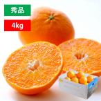 みかん 甘平 秀品 4kg かんぺい カンペイ 濃厚 甘い 高級 愛媛 ギフト プレゼント 有名 人気 お取り寄せ 旬 愛媛 八幡浜 旬 希少 愛媛限定 010112000308 爆買