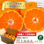 【2箱購入で送料無料】 みかん 天皇杯受賞 かわかみかん 訳あり 2.5kg 愛媛 愛媛みかん 川上 川上みかん 西宇和 八幡浜 ご家庭用 ミカン 果物 旬 フルーツ