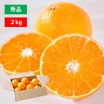 みかん まどんな 2kg 甘い プレゼント 贈り物 紅まどんな 同じ お歳暮 ギフト 高級 フルーツ ミカン 蜜柑 約6個から15個目安 ポイント利用