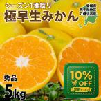  мандарин Ehime 5kg высшее . сырой превосходящий товар запад . мир район Hachiman .mi can меласса . ранний S~L размер 40~60 шар передний и задний (до и после) ввод . кислота ... кислота тест отметка использование . покупка 