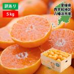 訳あり 愛媛みかん 5kg送料無料 (不揃い) 「西宇和地区産 愛媛みかん 5kg」