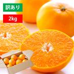 みかん せとか 訳あり 2kg 愛媛産 高級 旬 人気 とろける ご家庭用 希少 010113000404