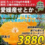 【数量限定再入荷】みかん せとか 訳あり 5kg 濃厚 甘い 愛媛 お取り寄せ 箱買い 送料無料 愛媛みかん ご家庭用