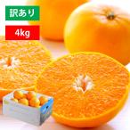 ショッピング花 せとか みかん 訳あり 4kg 愛媛産 八幡浜市 フルーツ 果物 くだもの 柑橘 ミカン 産地直送 高級 ご家庭用 010113000408