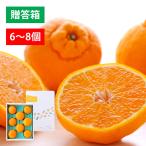 ショッピングデコポン ギフト デコポン みかん 不知火 送料無料 ギフト 贈答 ６〜８個 約2kg デコ 果物 旬 フルーツ  愛媛産 愛媛産 デコポンと同品種 ポイント利用 爆買