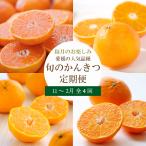 ギフト みかん 定期便 全４回 11月〜2月コース 秀品 高級 希少 まどんな 甘平 11月中旬頃より出荷 ポイント利用 爆買