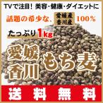 もち麦・ダイシモチ1ｋｇ TVで話題のダイエットで注目！希少な愛媛・香川産100％もち麦・ダイシモチ1ｋｇ（500ｇX2袋）送料無料