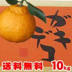 でこぽん大箱10ｋｇ⇒2,580円⇒送料無料でありえない最安値に挑戦！デコポン・しらぬい選果ばね・未選果⇒ガキデコ（特殊条件付）訳あり家庭用・愛媛産