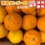 訳ありの訳あり　清見 タンゴール10kg2,280円送料無料⇒清見 オレンジ★大人気の日本名高い・みさき産・おいしい自然作りで味の均一・愛媛みさき産