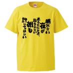 ショッピングおもしろtシャツ おもしろTシャツ 眠れない夜があるのだから、起きれない朝も許してほしい ギフト プレゼント 面白 メンズ 半袖 無地 漢字 雑貨 名言 パロディ 文字