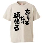 おもしろTシャツ ちょっとだけ頑張る ギフト プレゼント 面白 メンズ 半袖 無地 漢字 雑貨 名言 パロディ 文字