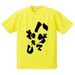 おもしろTシャツ みかん箱 はげてねぇし メンズ レディース ドライ 速乾 ポリエステル 半袖