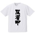 おもしろTシャツ みかん箱 反省中 メンズ レディース ドライ 速乾 ポリエステル 半袖