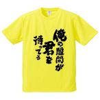 おもしろTシャツ みかん箱 俺の股間が君