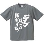 おもしろTシャツ みかん箱 デブじゃないぽっちゃりだ メンズ レディース ドライ 速乾 ポリエステル 半袖
