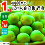 南高梅 青梅 秀品 1kg L or Mサイズ 和