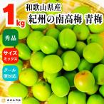  юг высота слива синий слива превосходящий товар 1kg размер Mix Wakayama префектура производство .. Arita прямая поставка от производителя прохладный рейс соответствует сливовое вино конструкция для слива сок конструкция для 2026 год 6 месяц первая декада отгрузка 