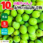 ショッピング梅 【先行予約】小粒ちゃん 南高梅 青梅 秀品  10kg サイズミックス 和歌山県産 紀州有田 産地直送 クール便対応 梅酒作り用 梅ジュース作り用 【みかんの会】