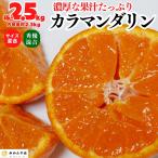 カラマンダリン 箱込 2.5kg (内容量約 2.3kg  ) 秀品優品混合 サイズミックス 和歌山県産 産地直送