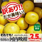 訳あり それでも 河内�