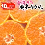 みかん 春待ち 越冬みかん 箱込 10kg (内容量9.2kg) サイズミックス 和歌山県産 産地直送