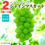 [ распродажа ] автомобиль in мускат утро .. Arita ...2kg(2.~6.) Arita ... Wakayama префектура производство прямая поставка от производителя прохладный рейс соответствует 