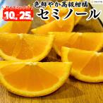 セミノール