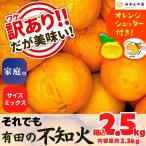 訳あり それでも 不知�