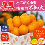 ショッピングデコポン 不知火 (しらぬい) とにかく小玉 箱込 2.5kg (内容量約2.3kg) 秀品 優品 混合 和歌山県産 産地直送 2026年2月下旬より出荷【みかんの会】