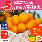 ショッピングデコポン 不知火 (しらぬい) とにかく小玉 箱込 5kg (内容量約4.4kg) 秀品 優品 混合 和歌山県産 産地直送 2026年2月下旬より出荷【みかんの会】