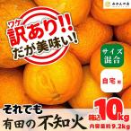 訳あり それでも 不知火 (しらぬい) 箱込 10kg (内容量約9.2kg) サイズミックス 和歌山県産 産地直送 【みかんの会】