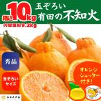 不知火 (しらぬい) 箱込 10kg (内容量9.2kg) 玉そろえたんじゃ 秀品 優品 混合 和歌山県産 産地直送 【みかんの会】