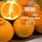 デコみかん 訳あり 不�