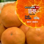 ショッピング甘平 甘平 訳あ り 甘平みかん みかん 幻の柑橘 愛媛県産 サイズ不揃い 混合 約2ｋｇ 送料無料