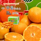 ショッピングみかん みかん 贈答 中島みかん 御歳暮 愛媛 中島 御贈答 送料無料 約10ｋｇ SMLいずれか