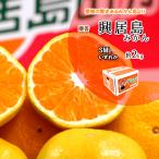 ショッピングみかん みかん お歳暮 贈答 興居島みかん 興居島 みかんの島より 美味しいみかん 約2ｋｇ 送料無料