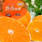 紅まどんな 愛果28号 贈答用 みかん べにまどんな 愛媛県産 M〜4Ｌ いずれか 約5ｋｇ バラ詰め 送料無料