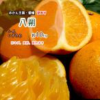 八朔 訳あり 箱買い はっさく 愛媛県産 サイズ不揃い 混合 約 10ｋｇ送料無料
