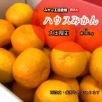 ハウスみかん ハウスミカン 温州みかん 愛媛県産 みかん 送料無料 約5kg 訳あり 大玉 2L以上