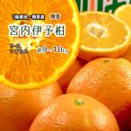 宮内伊予柑 贈答 伊予柑 興居島伊予柑 宮内いよかん いよかん M-4L 約9-10ｋｇ