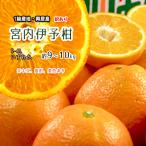 伊予柑 訳あり 宮内伊予柑 興居島産 いよかん 箱買い 宮内いよかん S〜4Ｌ 約9〜10ｋｇ 送料無料